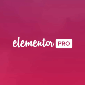 Elementor + Elementor PRO