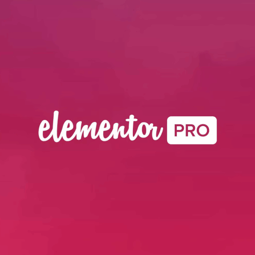 Elementor + Elementor PRO